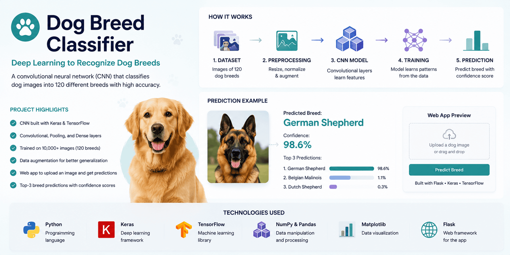 Dog breed classifier project using deep learning and transfer learning for image classification